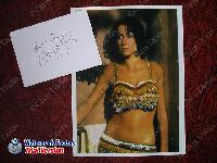 Carmen de Sautey - Belly Dancer Saida